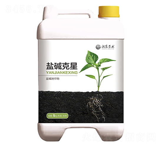 �}�A����-�h���r(n��ng)�I(y��)