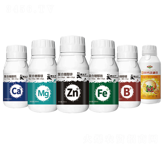 ��һԪ�ط���-�Ԡ��G��