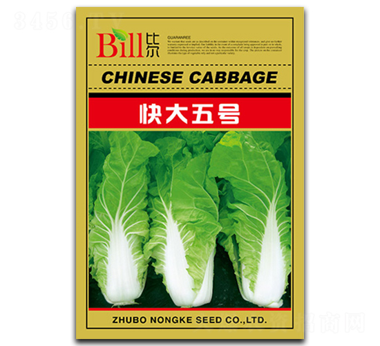 �����̖-��˷N��-�Ƞ�