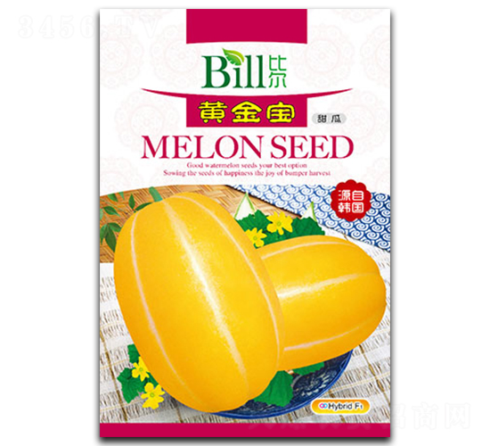 �S����-��ϷN��-�Ƞ�