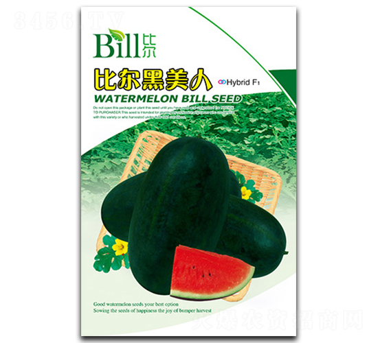 �Ƞ�������-���ϷN��-�Ƞ�