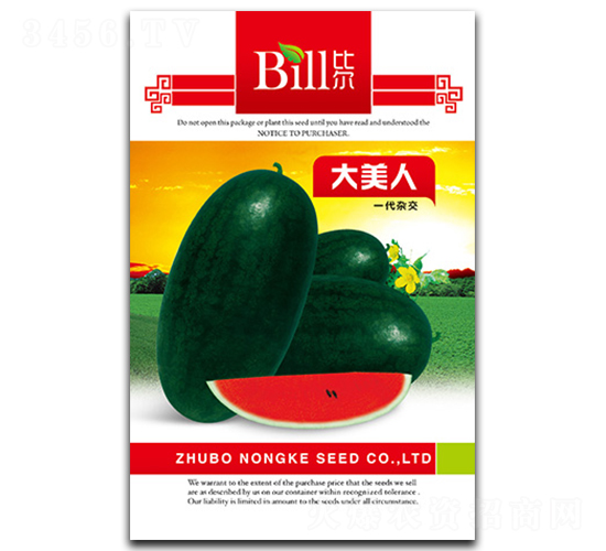 ������-���ϷN��-�Ƞ�