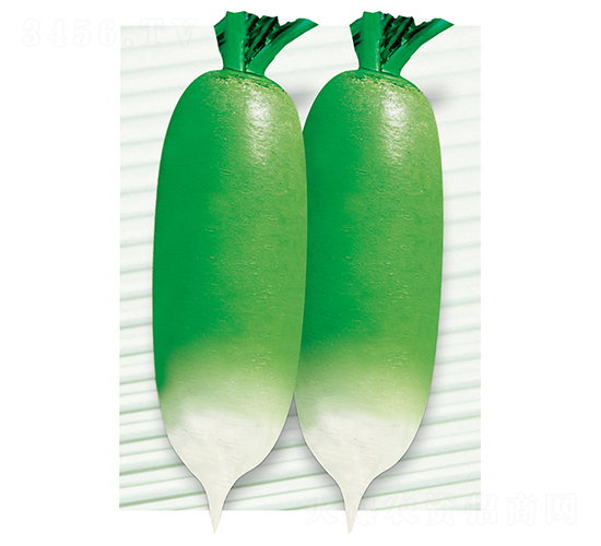 ƽ�S��̖-�}���N��-ƽ�S�N�I(y��)