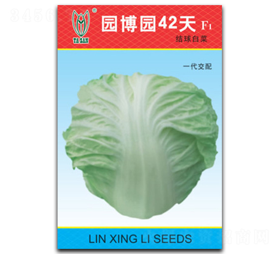 �@���@42��-�ײ˷N��-���d��