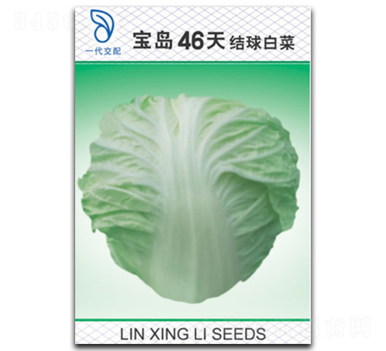 ���u46��-�ײ˷N��-���d��