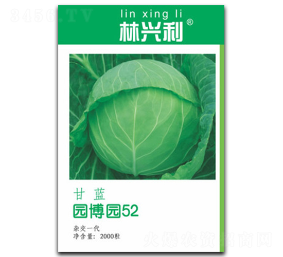 �@���@52-���{(l��n)�N��-���d��