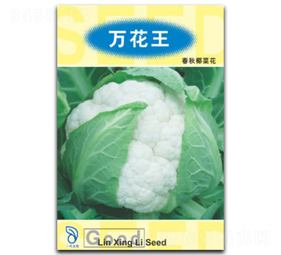 �f����-��Ҭ�˷N��-���d��