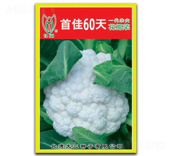 �׼�60-��Ҭ�˷N��-���d��