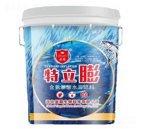 ��������ˮ�ܷ���-������-Ӣ������