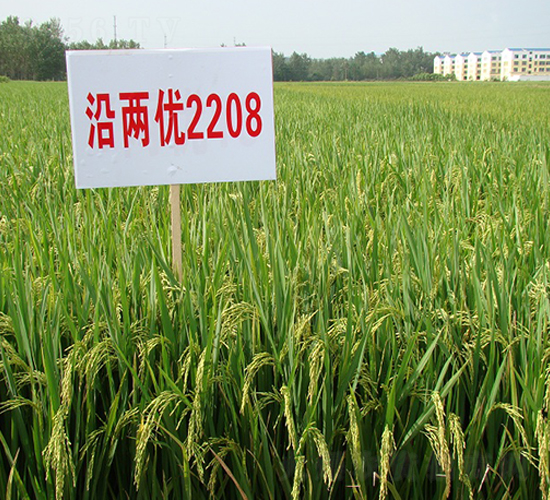 �}�Ƀ�(y��u)2208-ˮ���N��-���r(n��ng)�l(f��)