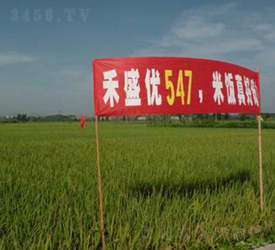 ��9��(y��u)547-ˮ���N��-���r(n��ng)�l(f��)