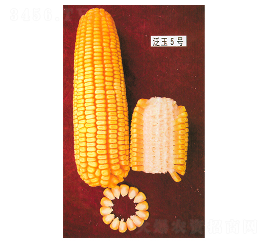 ����5̖(h��o)-���׷N��-���r(n��ng)�l(f��)