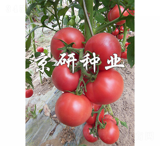 ����303-���ѷN��-����