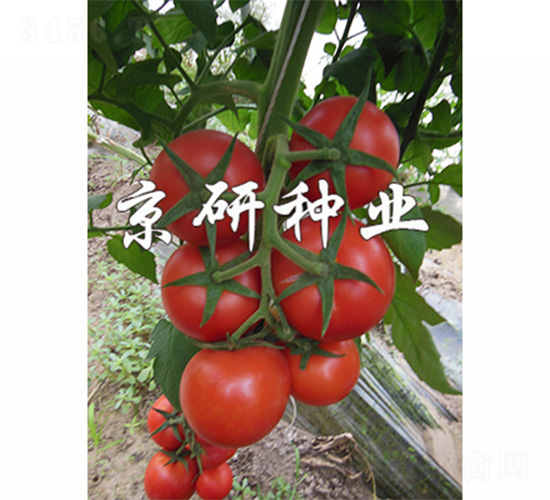 ����602-���ѷN��-����