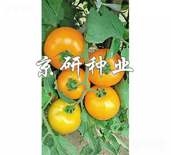 ����701-���ѷN��-����