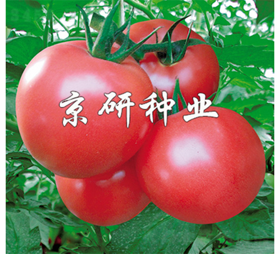 �ɿ�360-���ѷN��-����