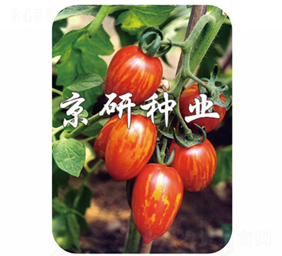 ����1̖-���ѷN��-����