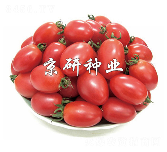 ����2̖-���ѷN��-����