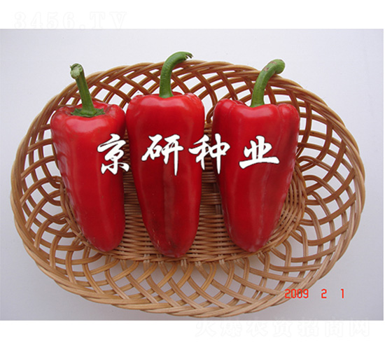 �t��-�����N��-����