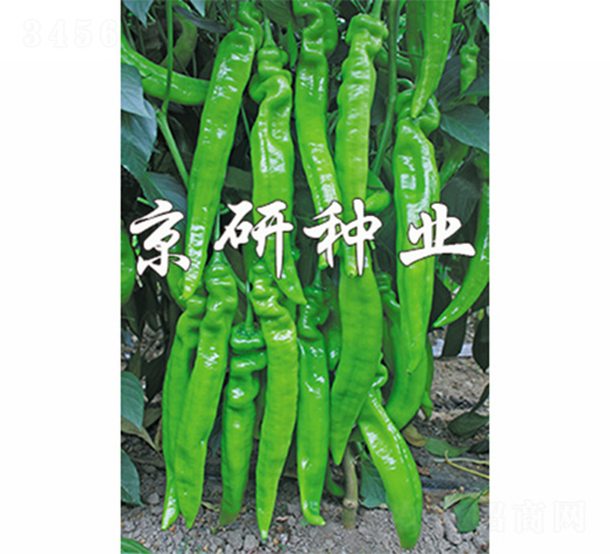 ��(gu��)��901-�����N��-����