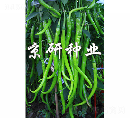 ��(gu��)��410-�����N��-����