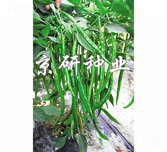 ��(gu��)��413-�����N��-����