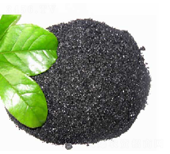 ��ֲ���c-ʢ������