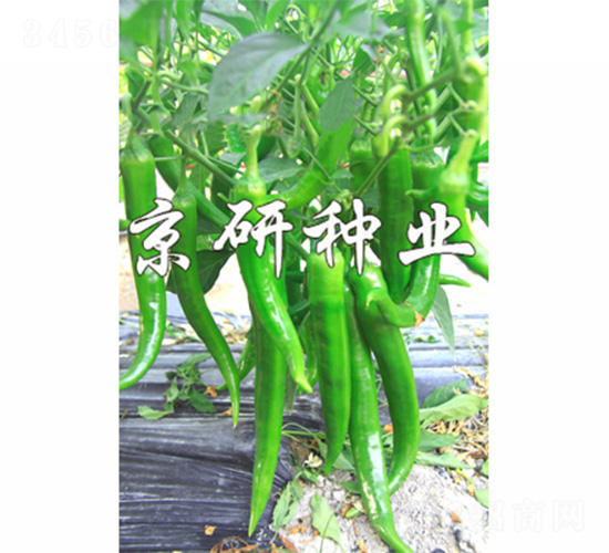 ����216-�����N��-����