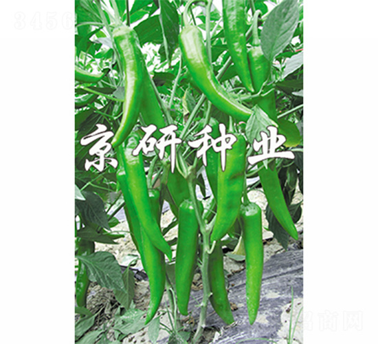 ����1̖-�����N��-����