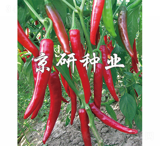 ����102-�����N��-����