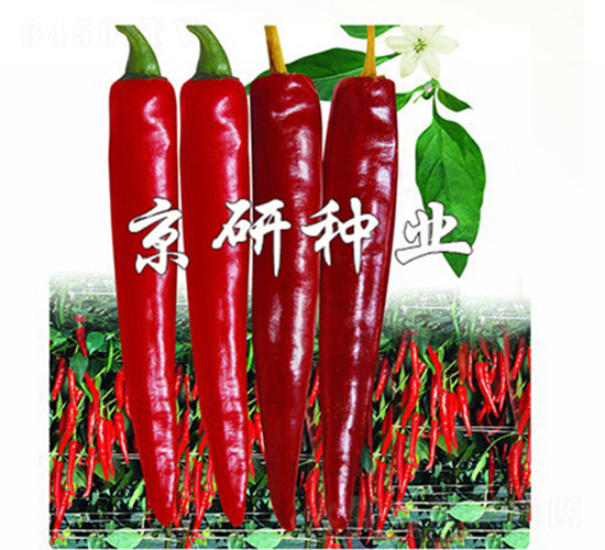 ����118-�����N��-����