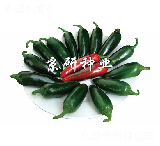 ����104-�����N��-����