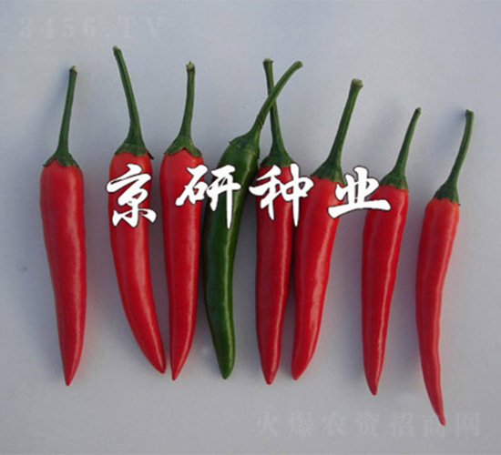 ����112-�����N��-����