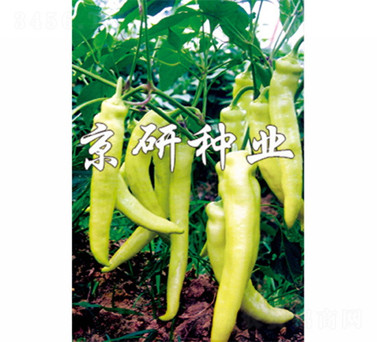 ����-�����N��-����