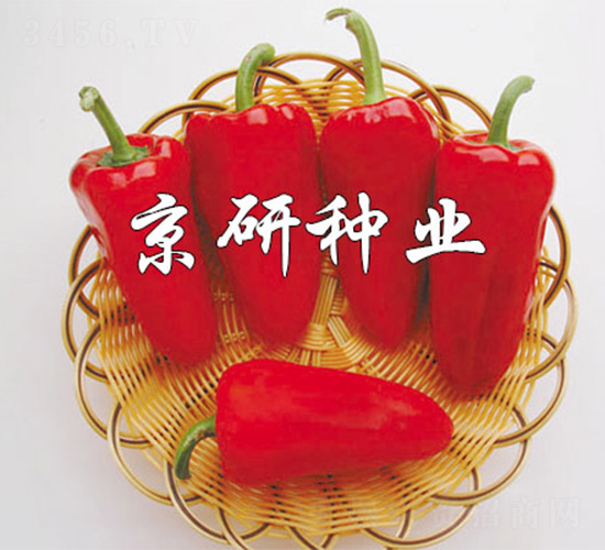 ����-�����N��-����