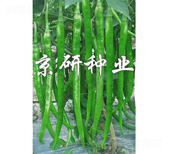 ��(gu��)��416-�����N��-����