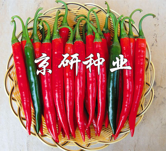 ����418-�����N��-����