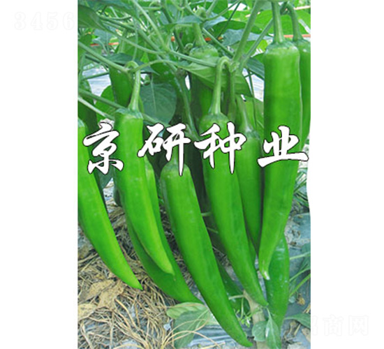 ����326-�����N��-����