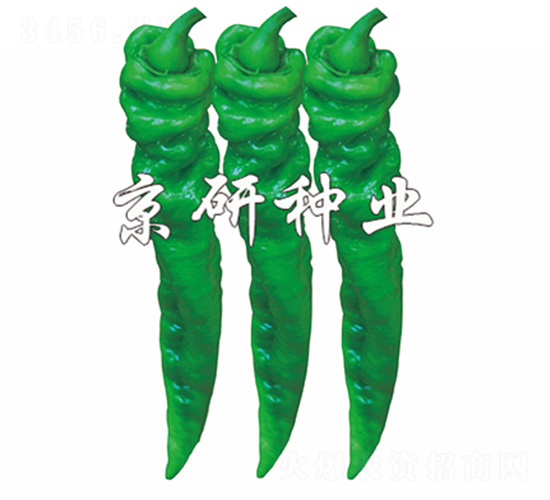 ����79-�����N��-����