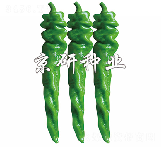 ����703-�����N��-����