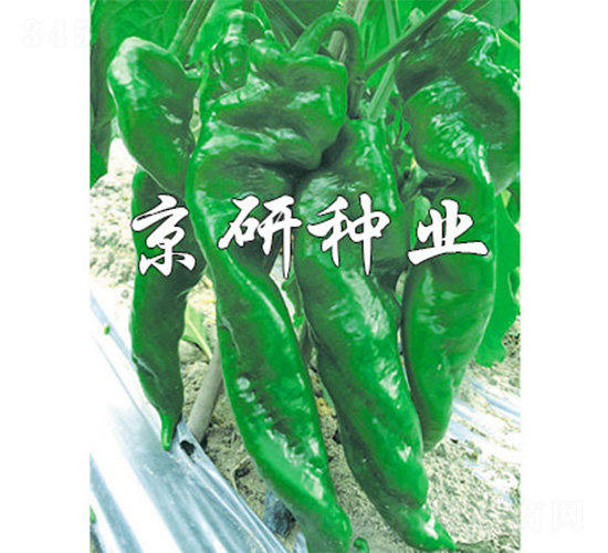 ����92-�����N��-����