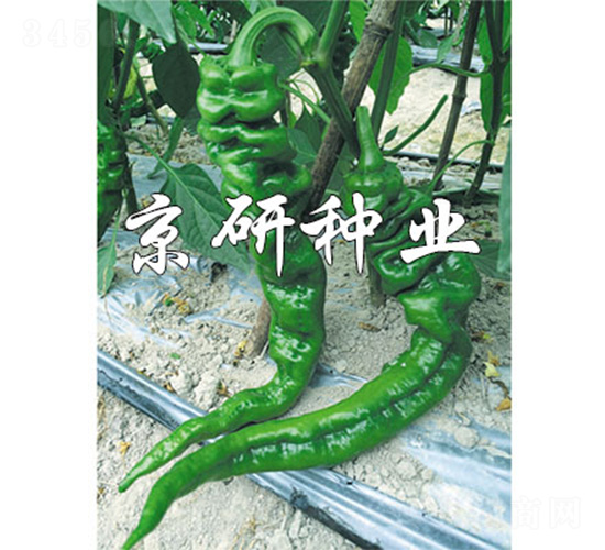 ����47-�����N��-����