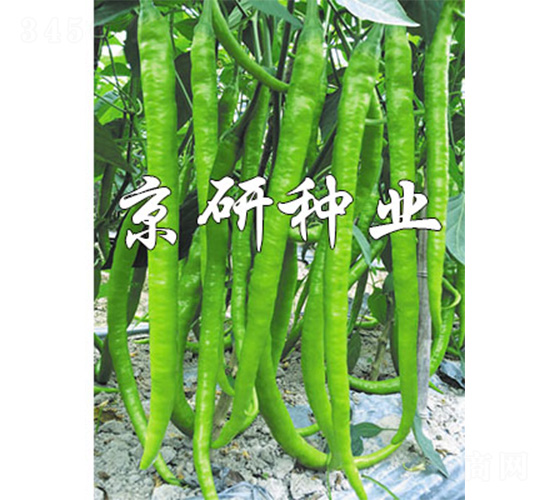 ����147-�����N��-����