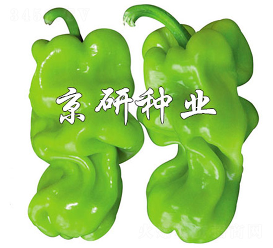 ���а�Ƥ3̖-�����N��-����