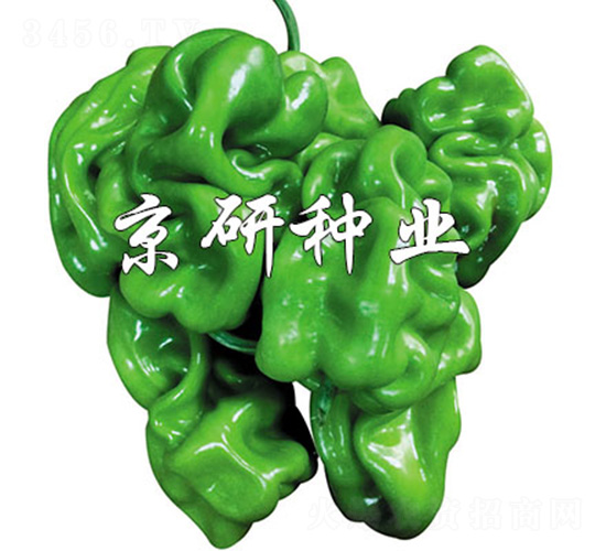 ���а�Ƥ4̖(h��o)-�����N��-����