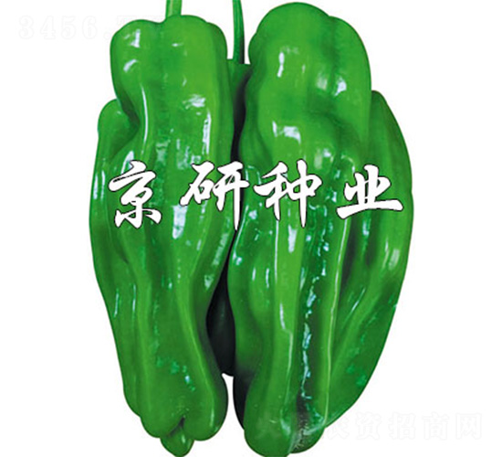 ����2̖-�����N��-����