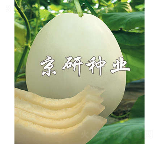 ����268-��ϷN��-����