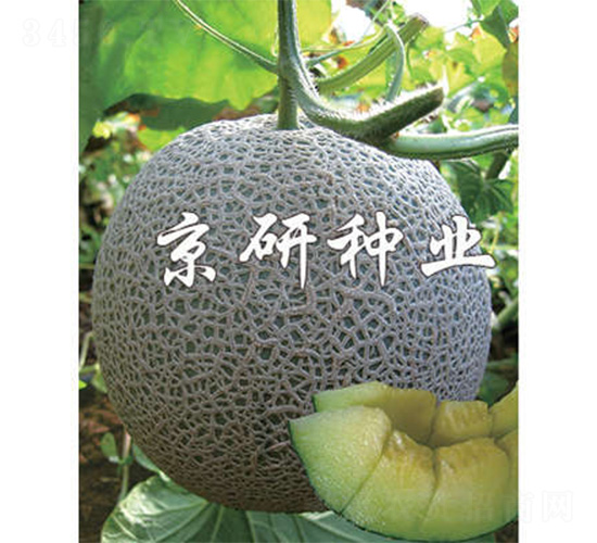 ����5̖(h��o)-��ϷN��-����