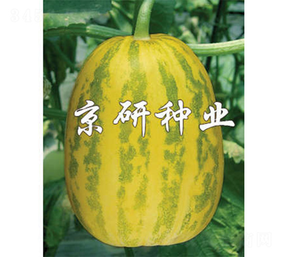 ����30-��ϷN��-����