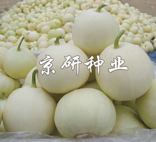 ����352-��ϷN��-����